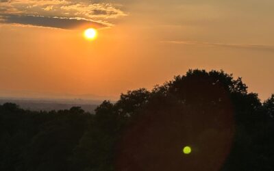 Was für ein Abend an der Großen Weinflasche