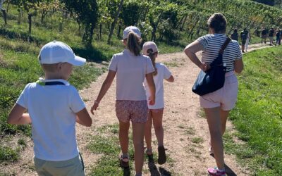 Weinwandertag Offenburg – Heimat, Wein und jede Menge Höhenmeter